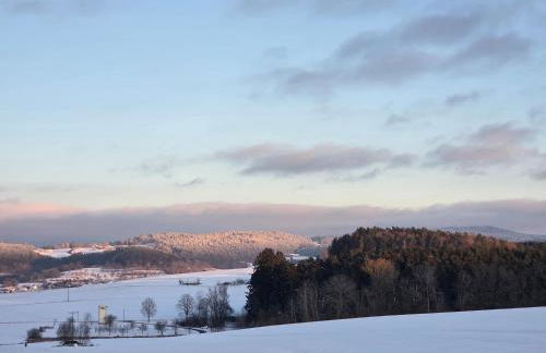 Apartmentanlage am Kellerberg - Foto 51