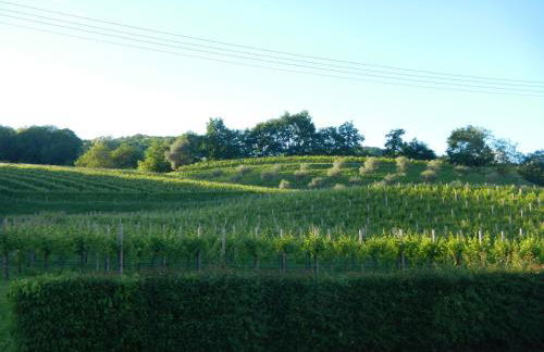 Sant'Andrea Agriturismo con cantina Martignago Vignaioli Asolo Prosecco Docg Wines - Foto 36