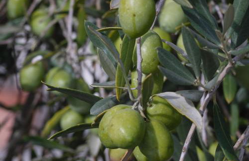 Villa La Corte - Foto 35