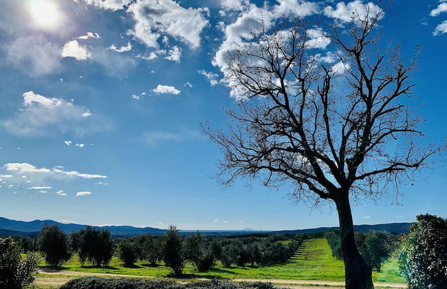 Tenuta Agricola Fraschiera - Foto 54