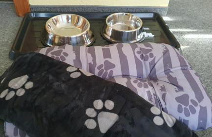 Ferienhaus Bucheneck perfekt für Familien & größere Gruppen im Seenland Lausitz - Foto 45