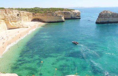 Villa Barros by GalanteVasques - Foto 23