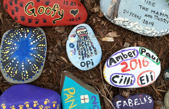 Puffin Condo 21 in Moclips - Foto 55