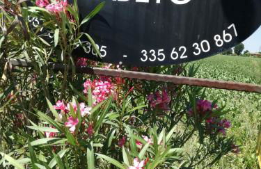 Agriturismo Flabeto - Foto 34