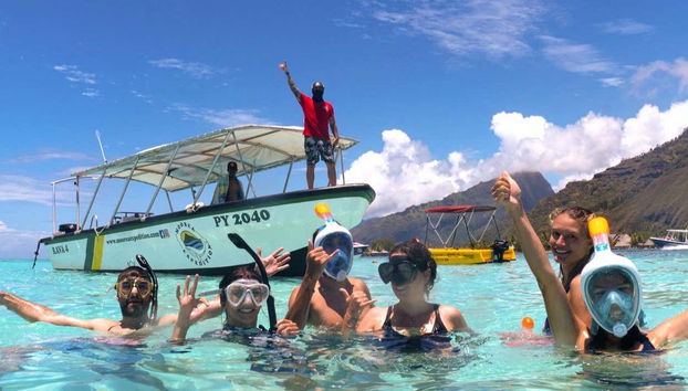 Whale Watching in Mo'orea - Foto 3