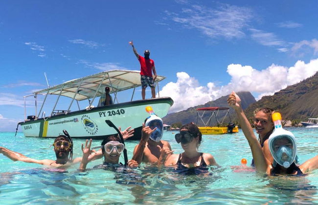 Whale Watching in Mo'orea - Foto 3