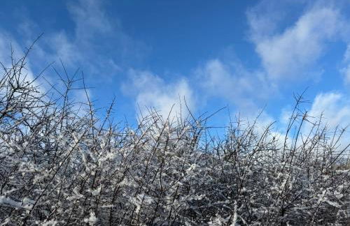 Haus Dorfidyll - Foto 41