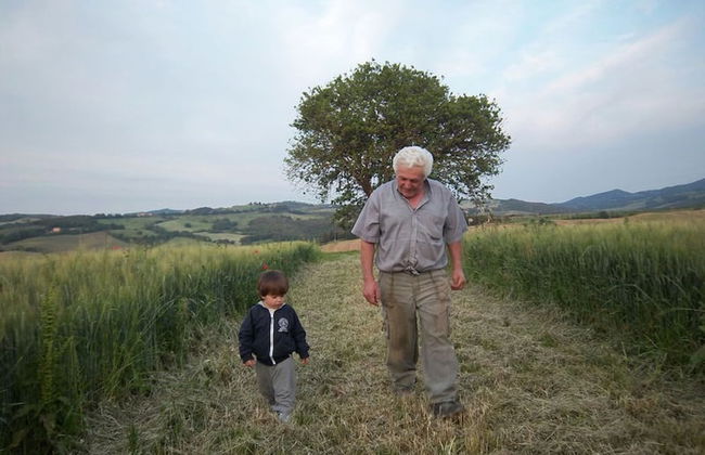 Casa Girasole Agriturismo Le Selvole Tuscany - Foto 29