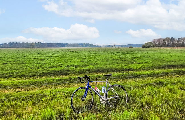 Kapitänshaus Leo - Foto 18