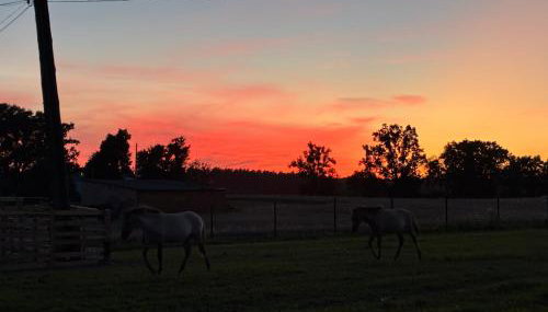 Chata Smarzewo - Foto 2