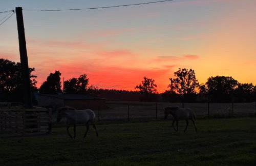 Chata Smarzewo - Foto 2