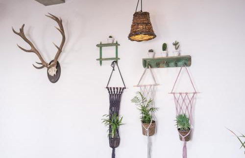 Casa Botanica - Central Island Location - 10 mins drive to Famara and La Santa - Foto 11