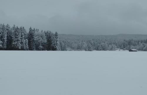 Schmidtler`s Nest - Foto 22