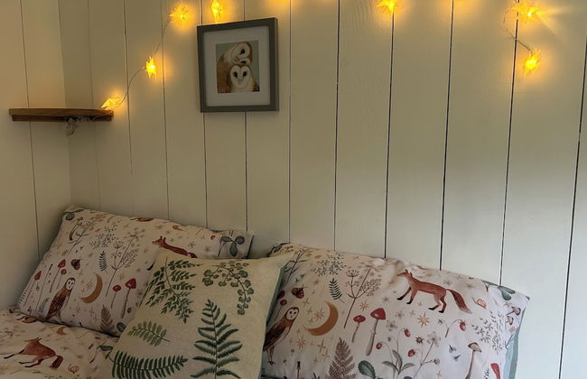 Cosy Devon Hut With Private Hot Tub - Foto 18