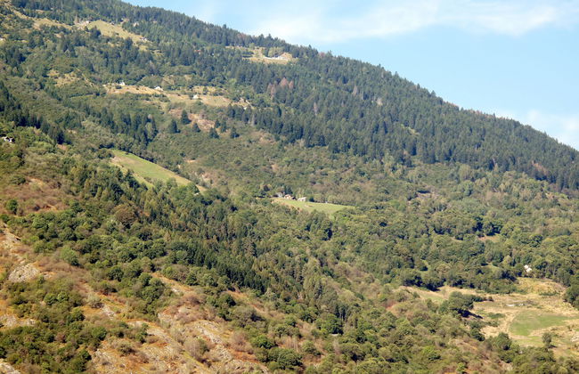 Rustico De Leoni - Foto 23