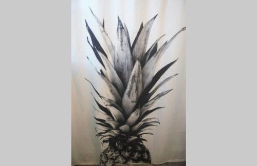 Aqua Haven - Second Street from Beach Home - Foto 25