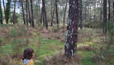Jolie Cabane Océan - Foto 4