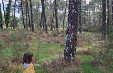Jolie Cabane Océan - Foto 4