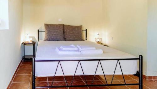 Solace Homie - Photo 3