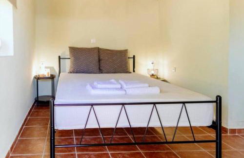 Solace Homie - Foto 3