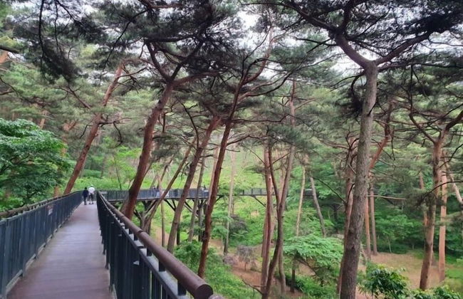 Anmyeondo In You Pension - Foto 63