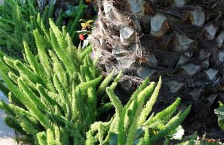 Le Mas de la Palmeraie - Appartement dans propriété privée au calme avec piscine et tennis - Foto 18