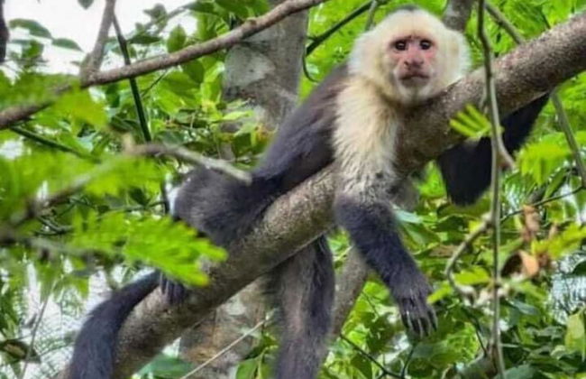 Rincón De Gaetano - Photo 21