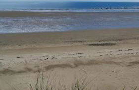 Petite maison sur terrain clos à 200 m de la plage - Foto 23