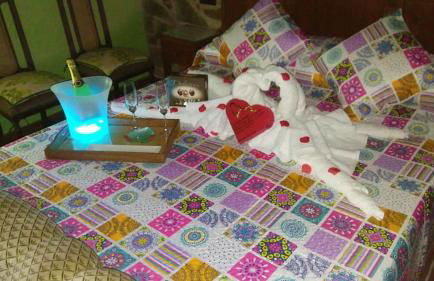 Cozy studio in Valencia de Alcántara 25 m² lovely garden - Foto 19