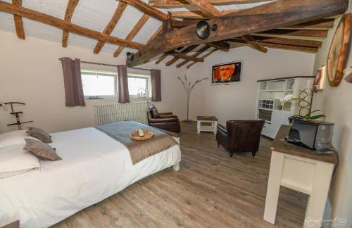 Gites De La Grande Borderie - Photo 56