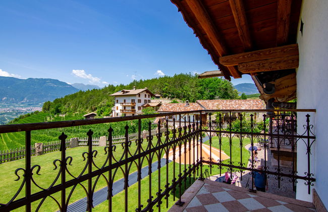 Royal Gala - Foto 18