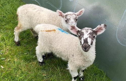 The Bothy, Callander - Foto 30