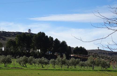 Finca Las Eras - Foto 56