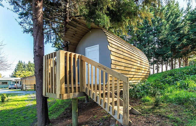 Morning Calm Lodge Limited - Photo 24