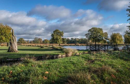 Cosy Studio in Hampton Hill short Walk to Bushy Park with Free Parking and WiFi and Pets welcome - Foto 45