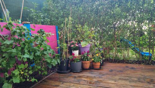 Helenas place - Foto 3, Garden