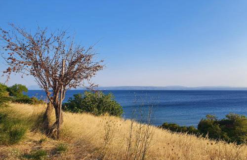 Haus Regina - Foto 14