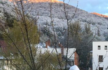 Casa Kronberg - Foto 2