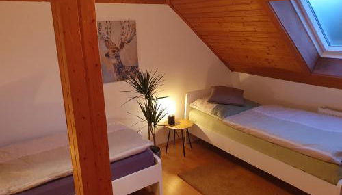 Fewo Eifelhöhe - Foto 5