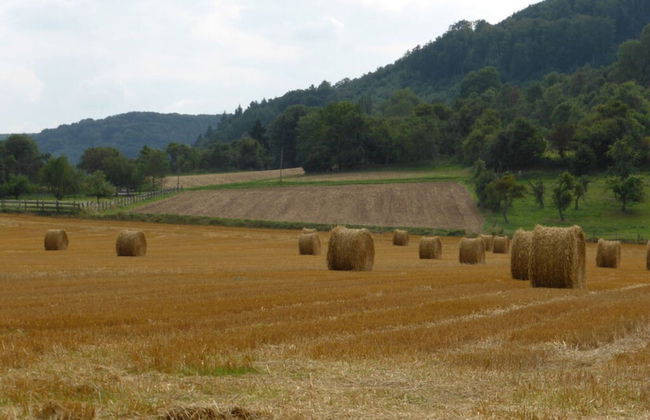 "weserbergland" Modern Retreat - Foto 10
