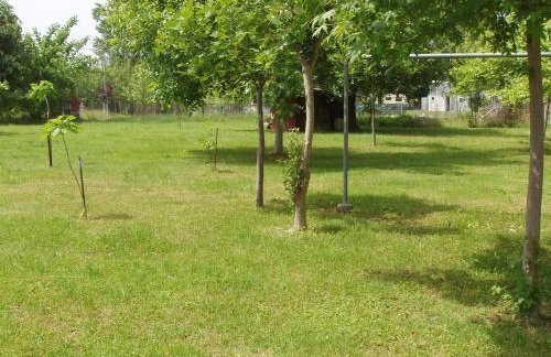 Prionas Studios - Foto 10