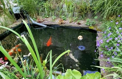 Ferienwohnung Gaby Lehmann - Foto 34