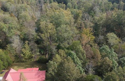 Beautiful Secluded Log Cabin - Foto 38