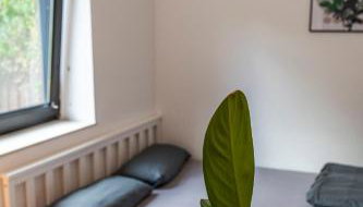 Studio mit Terrasse bei Frankfurt - Foto 5