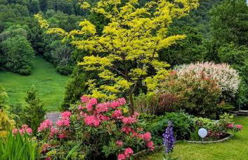 Haus zur Eule - Foto 28