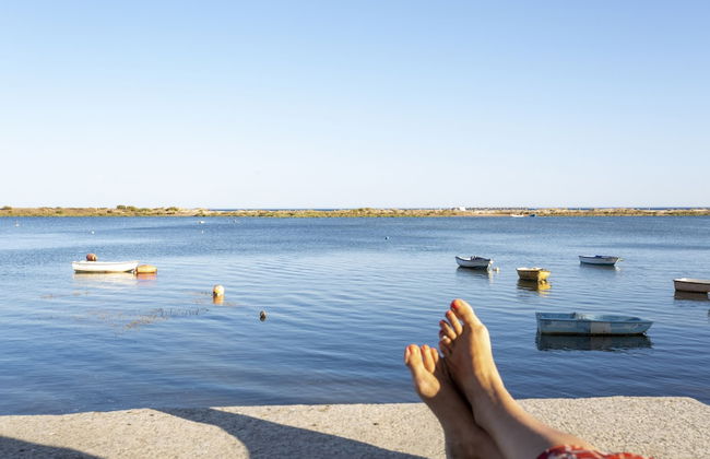 Conchas da F Brica in Vila Nova de Cacela - Foto 16
