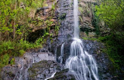 Apartamentos A Palleira - Foto 39