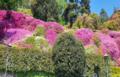 Cozy Hideaway Above Lake Como - Photo 78