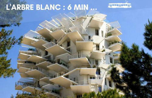 NOUVEAU - Jungle Montpeul - Clim - Wifi fibre - Netflix - 5' du centre et gare - Parking - Loggia - 15' des plages - Foto 29