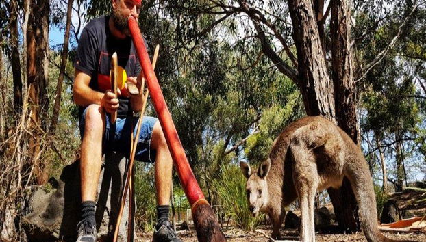 Around the Bay Sightseeing - Photo 3